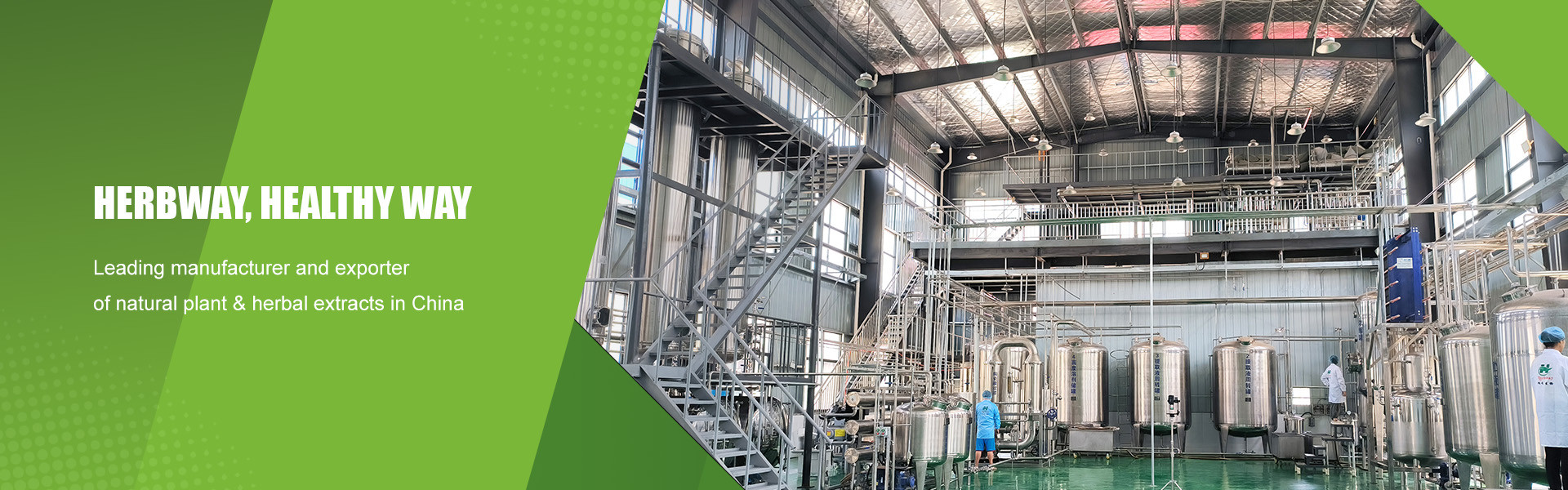 calidad Polvo de extracto de plantas fábrica