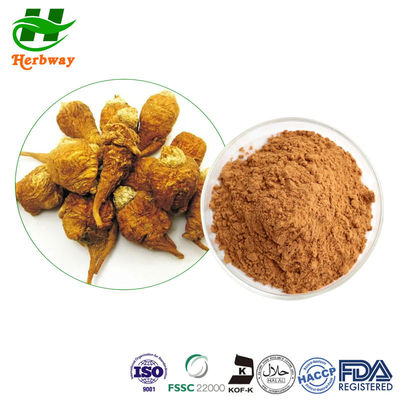 quality Salud ósea Extracto de Tongkat Ali en polvo Extracto de raíz de maca en polvo factory